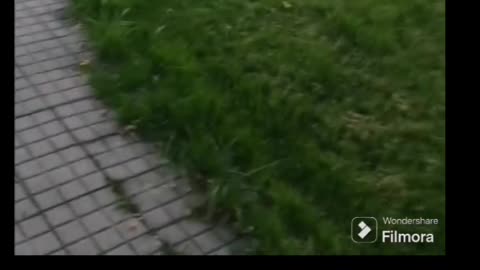 Acojonante!! Pillo a un yonki acechándome desde unos arbustos