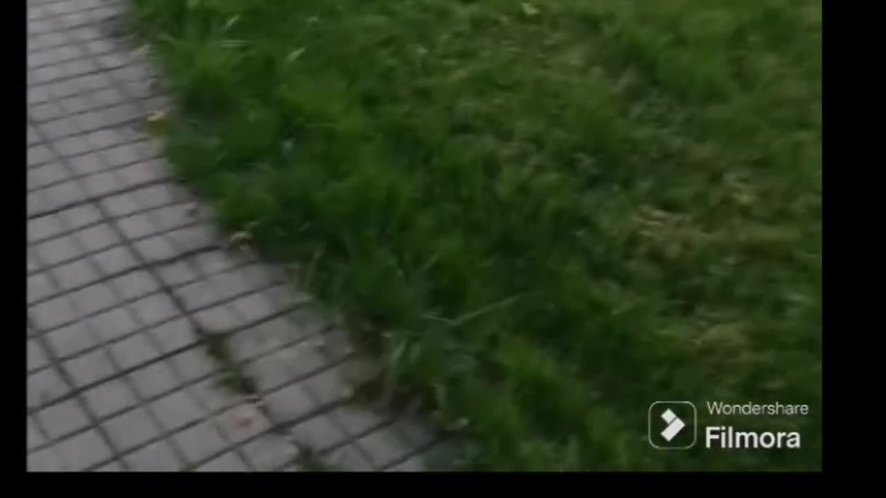 Acojonante!! Pillo a un yonki acechándome desde unos arbustos