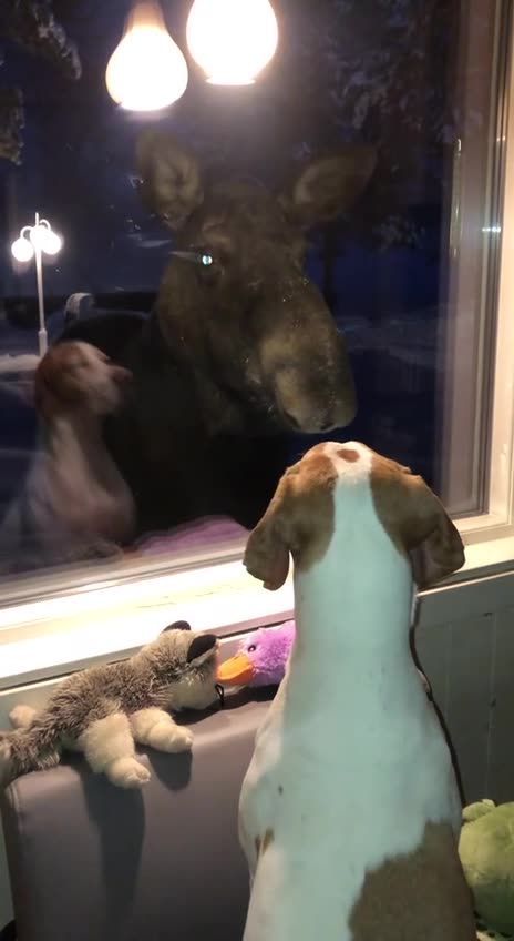 Beginning of a wonderful friendship