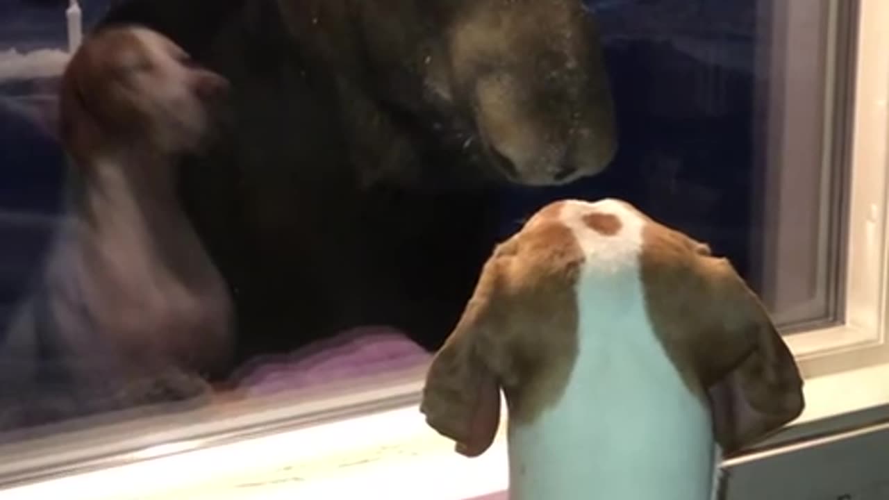 Beginning of a wonderful friendship