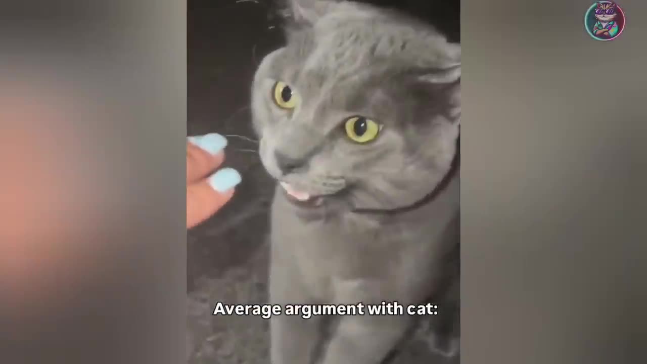 Cat slap