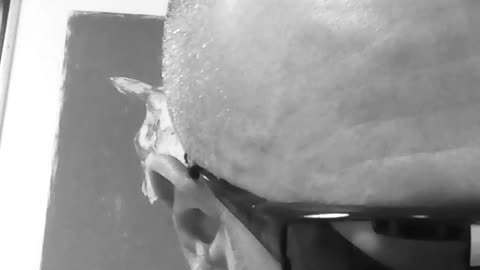 // the role of anarchist minority tendency praxis ///