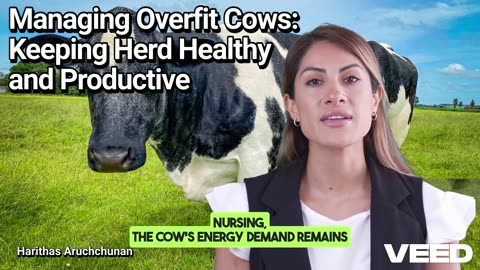 Mastering Healthy Herds:Preventing Overfit Cows