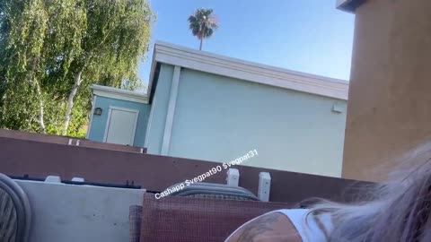 vee pee freakout vod 6/5/25