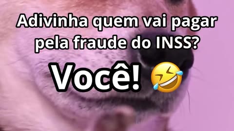 URGENTE! Precisamos de mais impostos! #stonks #economia #politica #governo #dinheiro #inss #stf