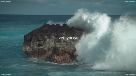 Turn The Tide