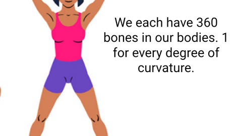 The toe and finger bones