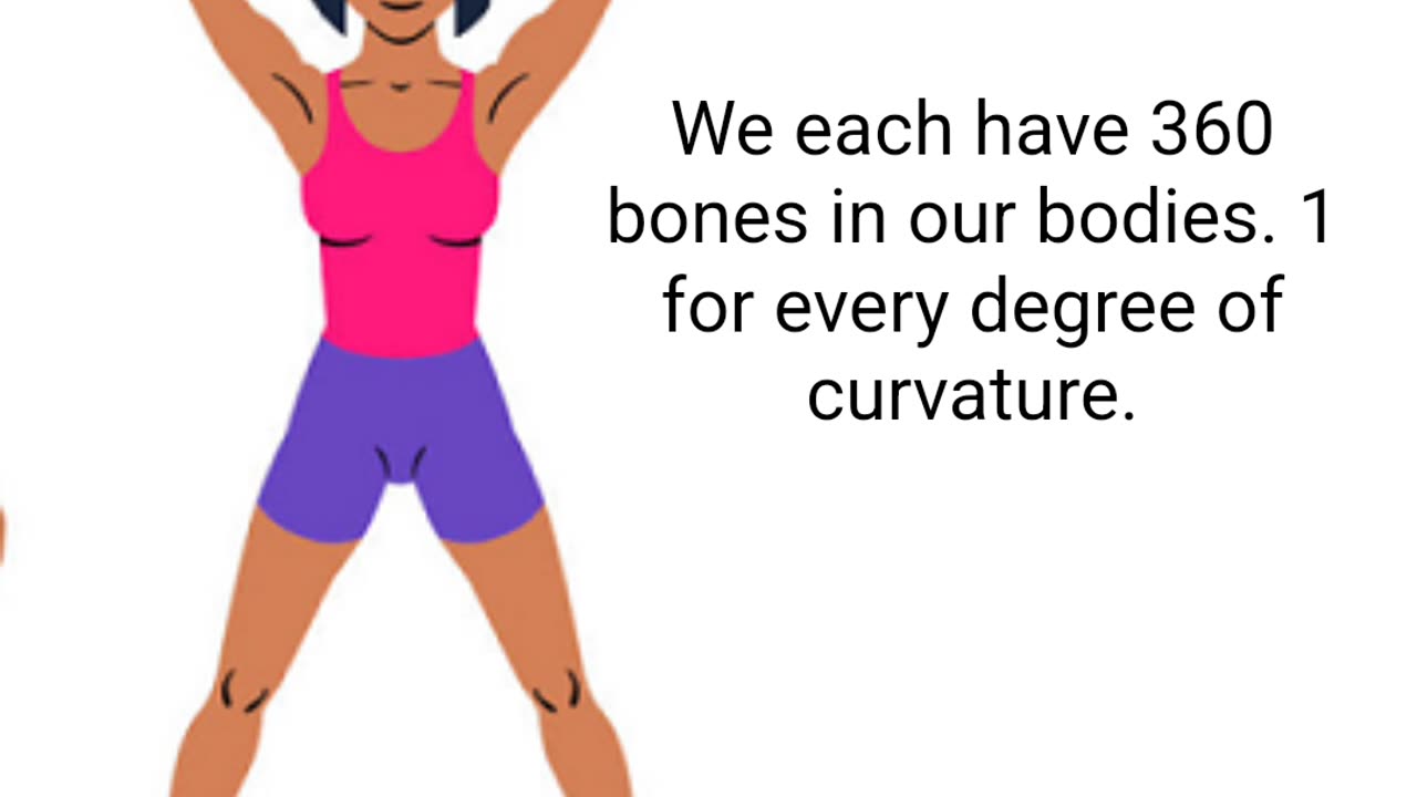 The toe and finger bones