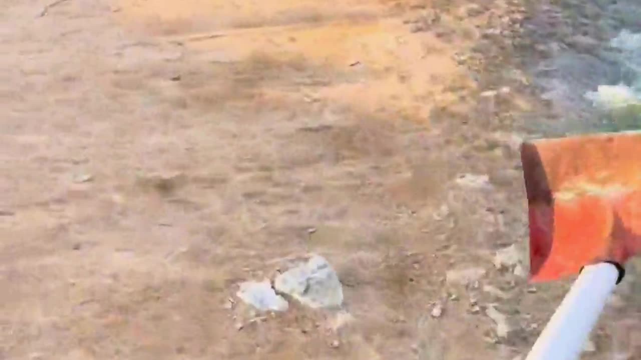 Start catching crocodiles right away.