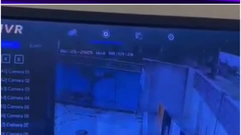 Snakes Invade Telangana Medical College Hostel—Terrified Students Demand Action