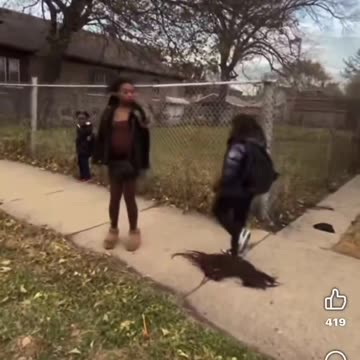 students from the south side of Chicago jumped a mother & her two children.