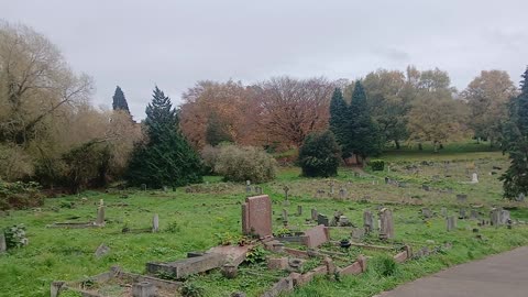 Is it Sunday? Mary mother of light.