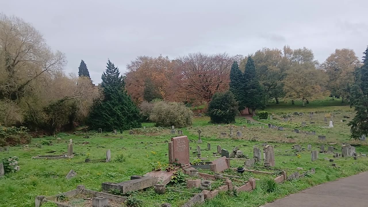 Is it Sunday? Mary mother of light.