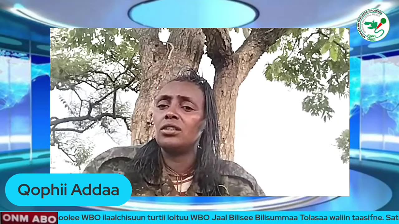 Qophii Addaa ONM-ABO Bitootessa 24-2025 itti dhiyaadhaa!