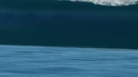Biggest wave caught on flim