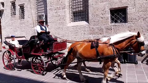 Austrian Modes of Transport