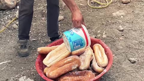 We bought dry bread for chickens vlog