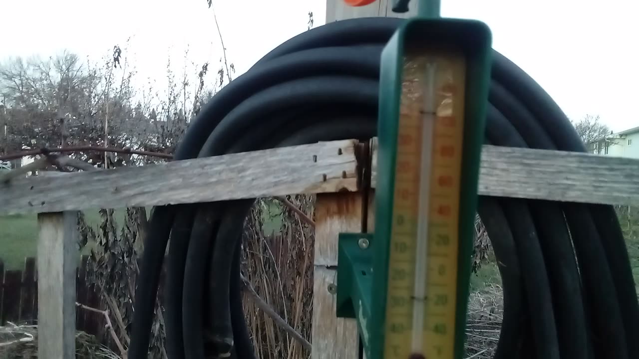 Kelowna BC 🇨🇦 Weather April 5 2025
