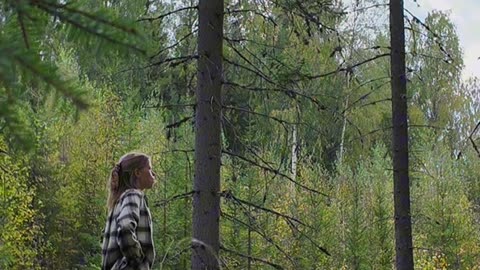 Forest Sounds - Nature