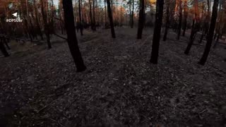 " How border guards from the "Orion" unit discovered and neutralized an enemy mine