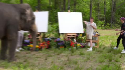 Elephant's First Painting_ A Giant School Masterpiece!
