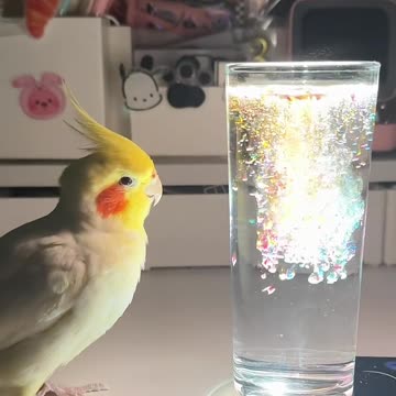 ASRM EATING TIME... #asmrvideo #foryourpage #eatingasmr #khabervideo #100kfollower