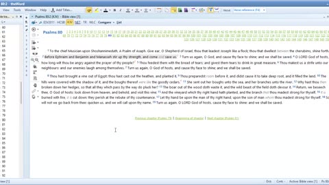 Bible study Family Psalms 80 and 81