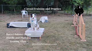 Circuit Training and Practice evening clips a