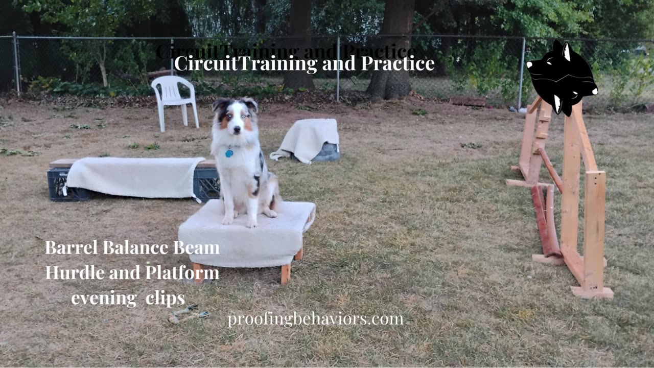 Circuit Training and Practice evening clips a