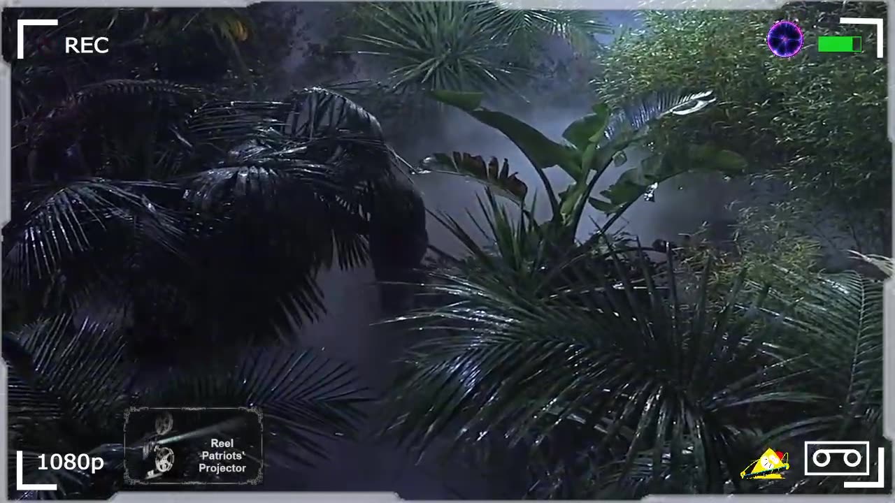 All About Quirky Clocks?