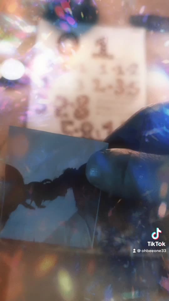 Tim Rifat TikTok Videos