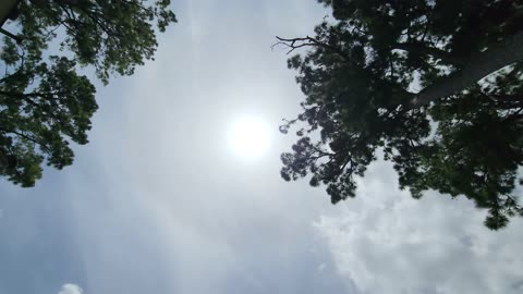 Halo & Rainbow Ring Around The Sun At The Same Time?!!
