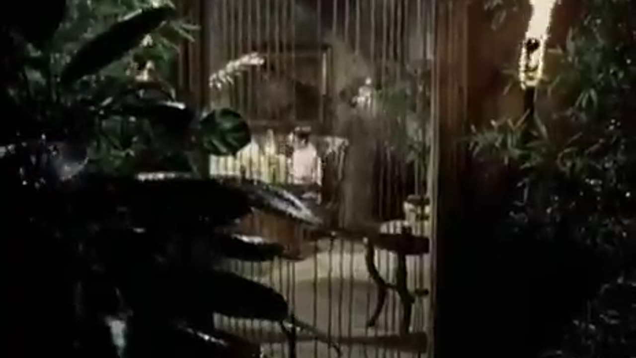 Toto Africa