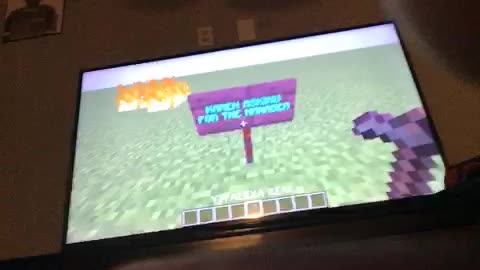 Minecraft video part three
