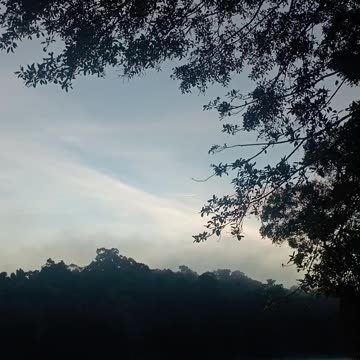 7.3.2025 This is a 'Con-trail'