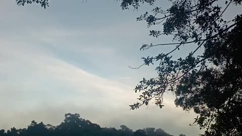 7.3.2025 This is a 'Con-trail'