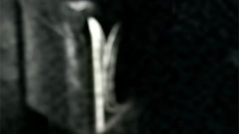 WAV - Broken Chamber Rec