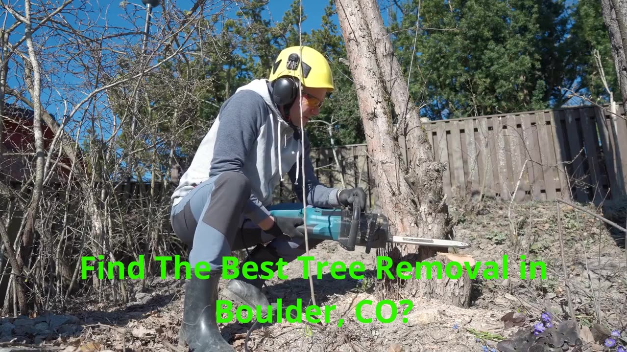 Patriot Tree Company INC. | Tree Removal in Boulder, CO