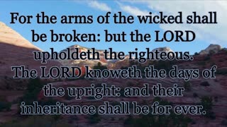 Weekly Words of Wisdom for the Week of Feb. 22 - 28