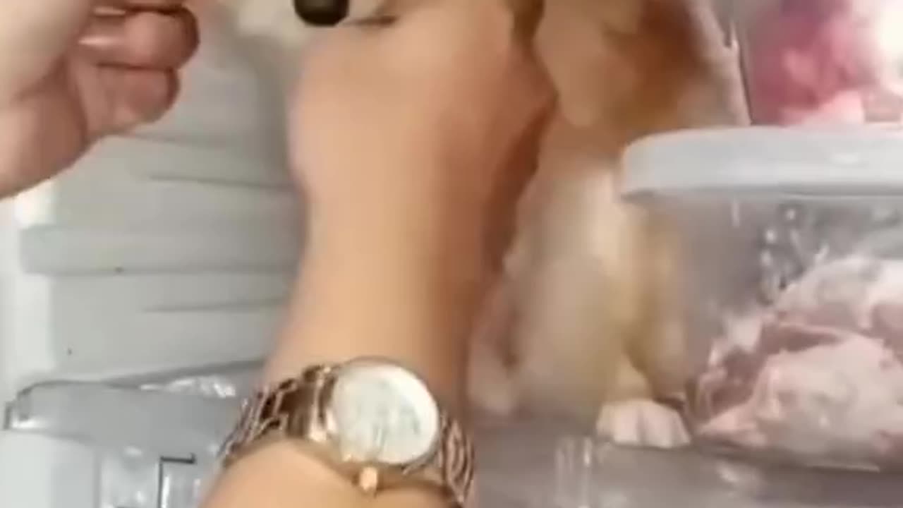 High temperature