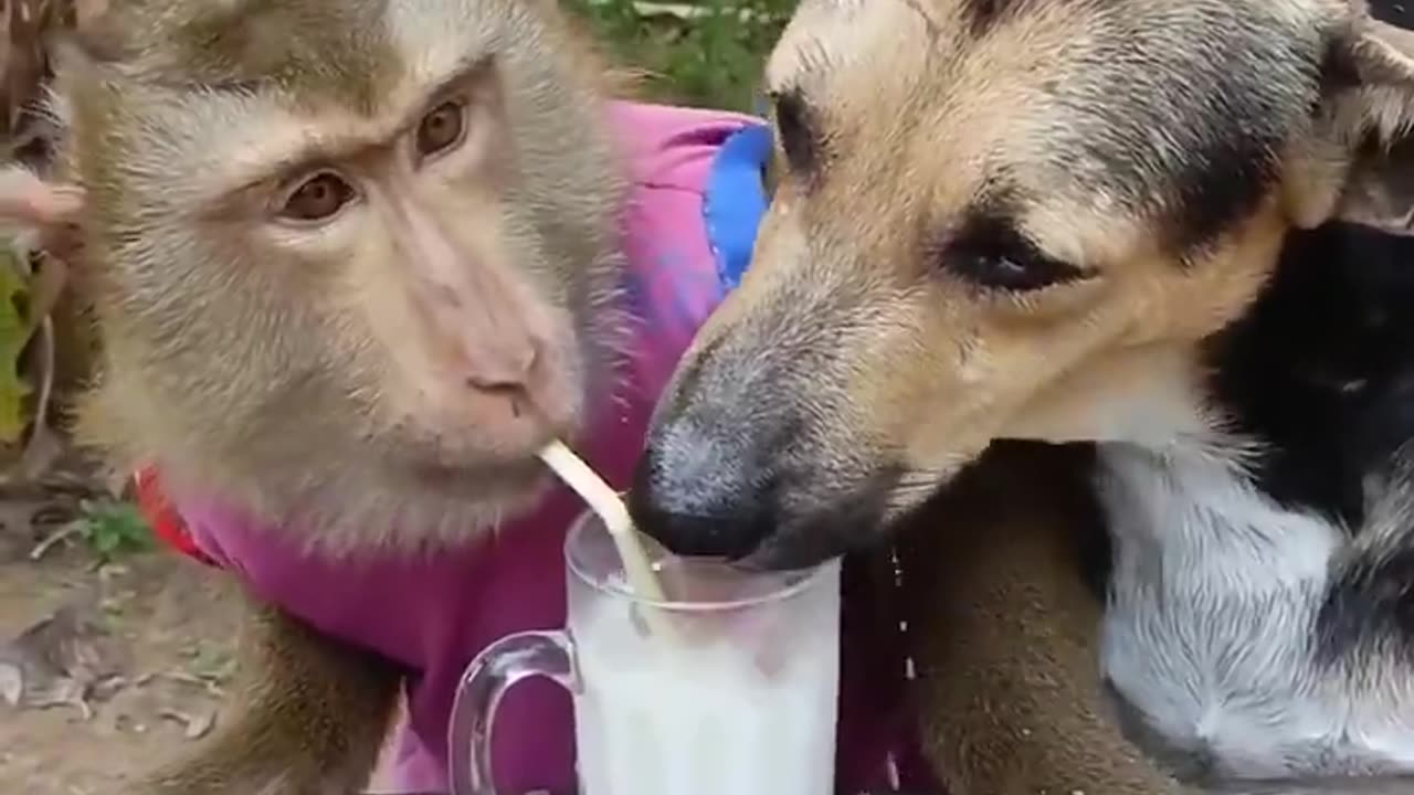 Sharing A Drink