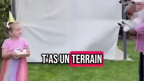 AlexNoMatrixé - Les Normes Absurdes en France