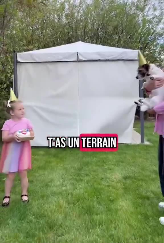 AlexNoMatrixé - Les Normes Absurdes en France