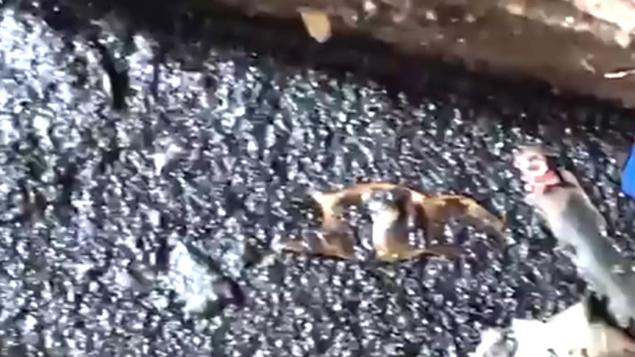 Mortuary workers in Ghana