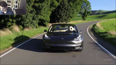 Outtake #1,200 Of The Panda Bear Drives A Tesla Model 3 Car On The Roadway Fake Funny Parody Video