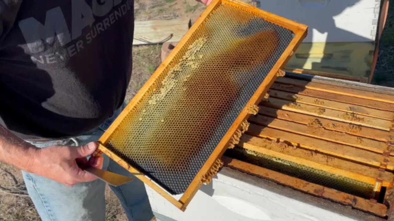 Coop Flipping!