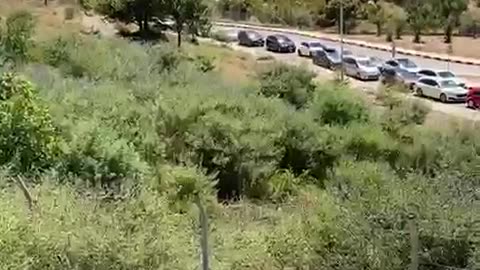 Radha të gjata në Qafë Botë! Pritje deri në tre orë në tokën greke