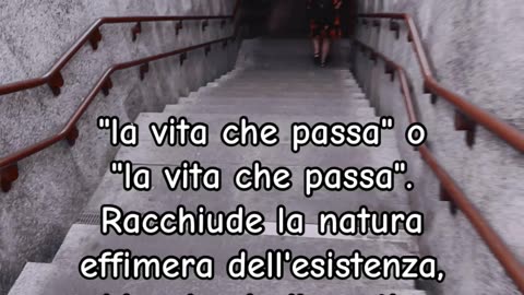 "the passing life" or "the life that is passing."
