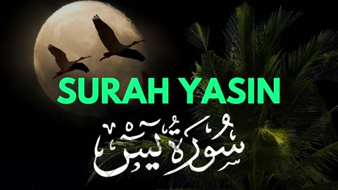 Surah Yasin سورة ياسين