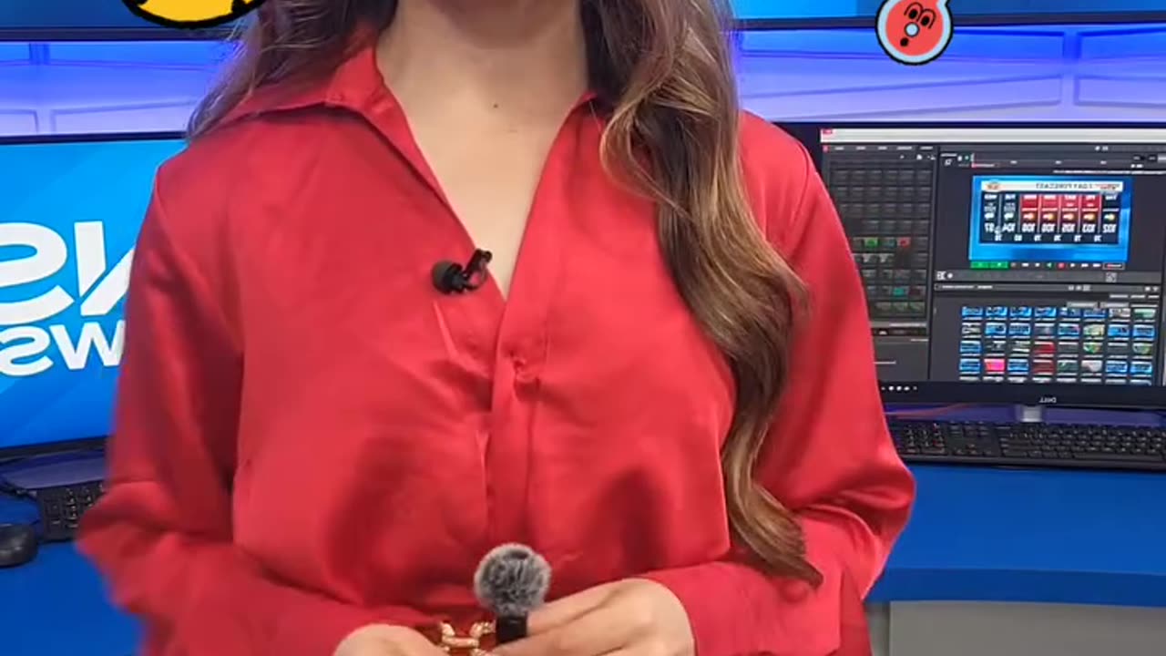 Yolanda Villarreal